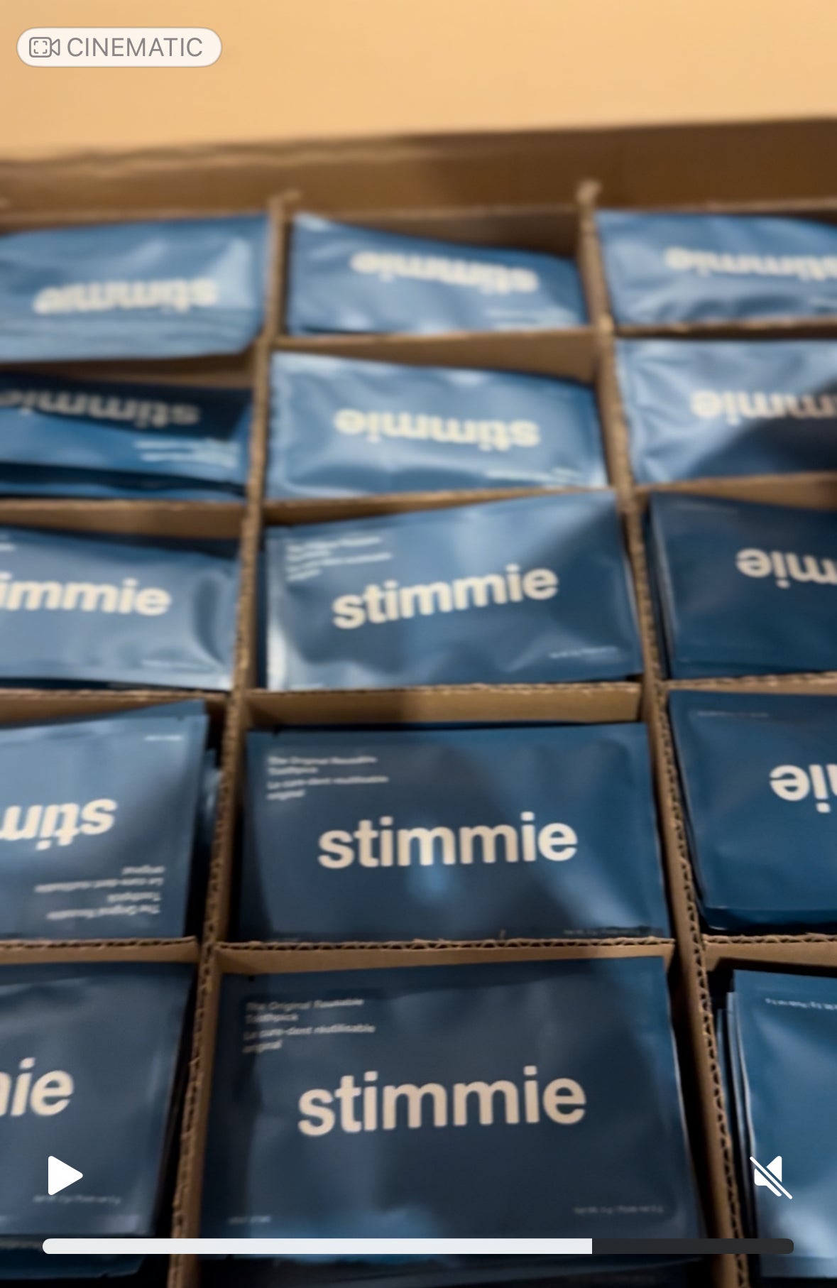 Midnight Two - Pack The Original Reusable Toothpick - shopstimmie